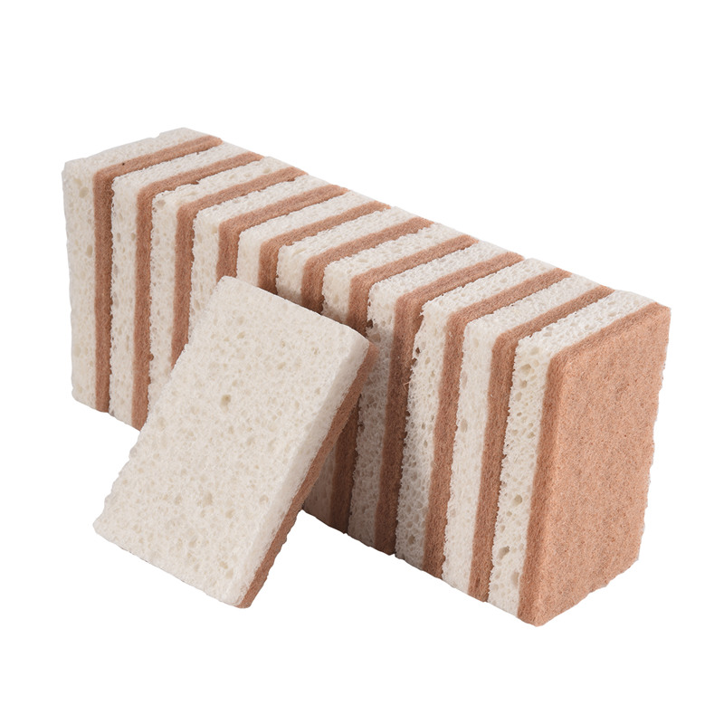 Esponjas Naturales Ecológicas  - Eco Sponge reseña y precio