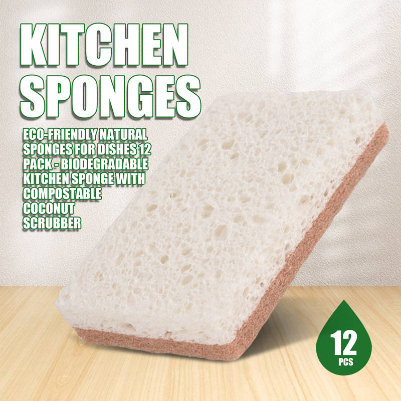Esponjas Naturales Ecológicas  - Eco Sponge reseña y precio